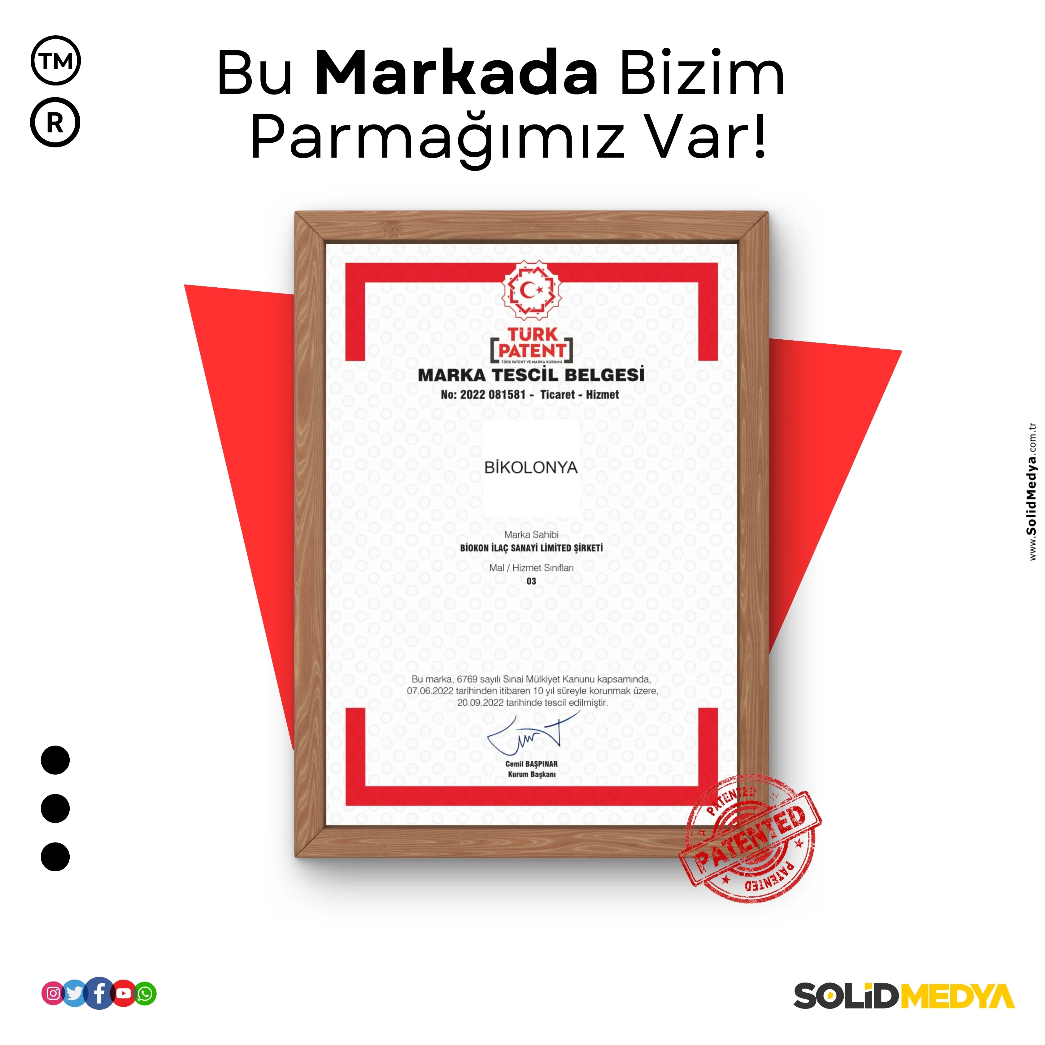 Bilkolanya - Markatescil Projesi | Solid Medya